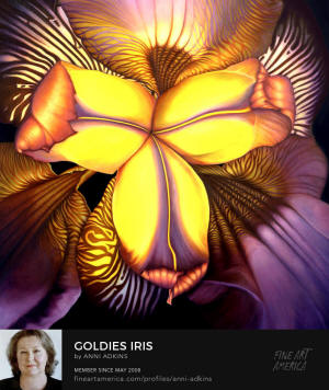 Canvas Art
