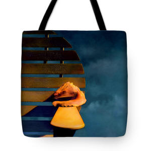 Tote Bag The Shell and the Stom by Joe Hoover & Anni Adkins