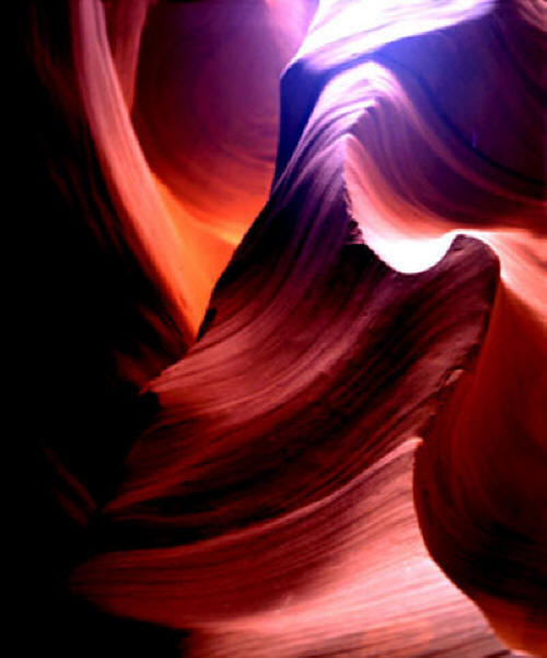 Antelope Magic color photo by Joe Hoover