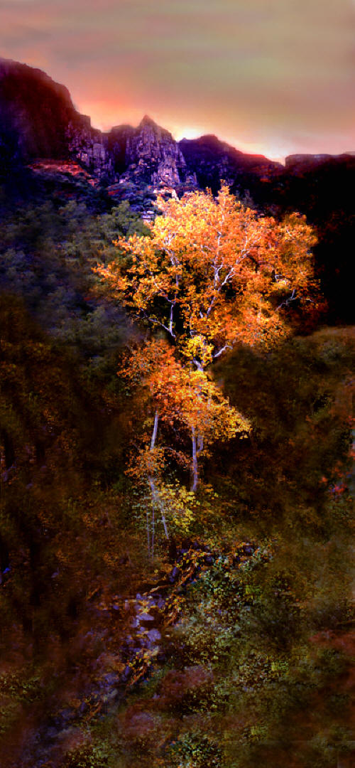 Oak Creek Canyon Arizona color Photo by Joe Hoover