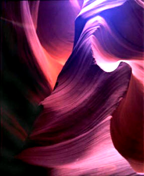 Antelope Magic color photo by Joe Hoover