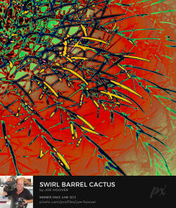 Canvas Art