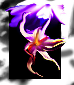 Dancing Flower by Joe Hoover