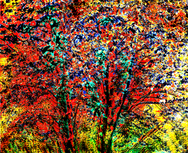 Oak Creek Fall by Joe Hoover