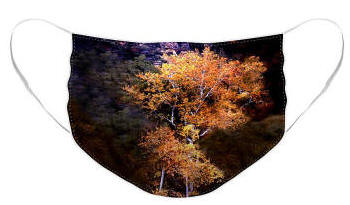 Face Mask - Oak Creek Canyon Color Photograph by Joe Hoover