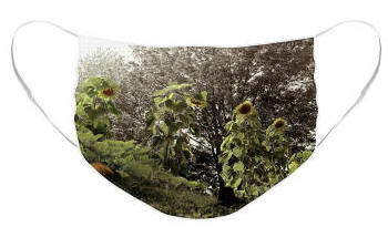 Face Masks by Joe Hoover - Summer's Last Dance