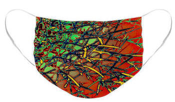 Face Masks by Joe Hoover - Barrel Cactus
