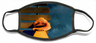 Face Mask The Shell and the Stom by Joe Hoover & Anni Adkins