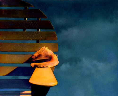 The Shell and the Storm by Joe Hoover