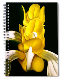 Angel Flower Journal or Note book by Anni