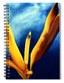 notebook -  Bird of Paradise