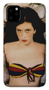 PHONE CASE Body Guard II by Joe Hoover and Anni Adkins
