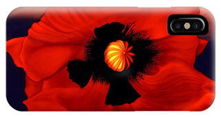Desert Phone Cover