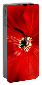 Petunia Phone charger