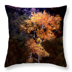 Decorative Pillow - Oak Creek Canyon Color Photograph by Joe Hoover