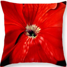 Pillow Petunia