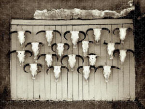 Jigsaw Puzzle --Cattle Call by Joe Hoover