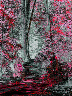 Jigsaw Puzzle - Fnatasity Path By Joe Hoover