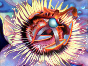 Jigsaw Puzzle Passion Flower by Anni Adkins