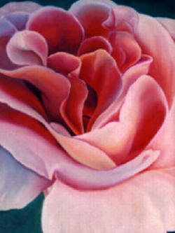 Jigsaw Puzzle The Peach Rose by Anni Adkins