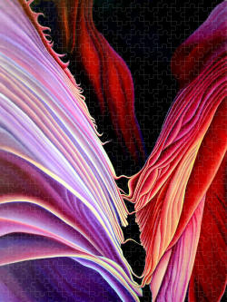 Jigsaw Puzzle - Rebirth of Antelope Canyon