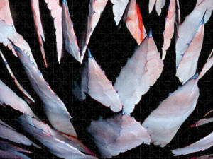 Jigsaw Pillow - Century Plant by Joe Hoover