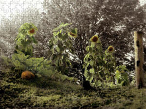 Jigsaw Puzzle - Summer's Last Dance Sunflowers by Joe Hoover and Anni Adkins