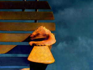 Jigsaw Puzzle - The Shell and The storm by Joe Hoover