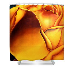 Shower Curtain Yellow Rose by Anni 
