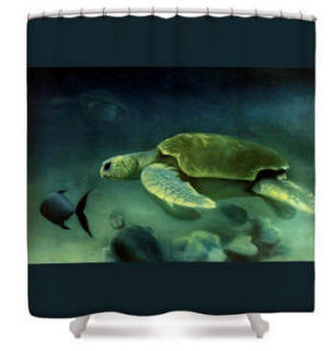 Shower curtain - Loggerhead turtle