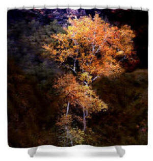 Shower Curtain - Oak Creek Canyon Color Photograph by Joe Hoover