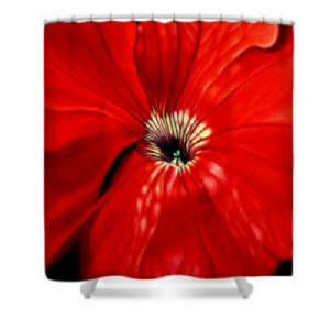 shower curtain - petuna