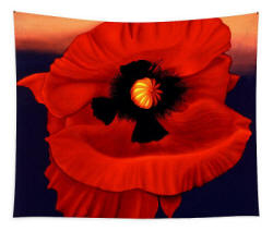 Desesrt Poppy - Tapestry by Anni Adkins
