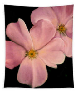 Tapestry - Two Dogwood Flowrs painted by Anni Adkins