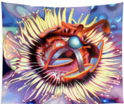 Passion Flower - Tapestry by Anni Adkins