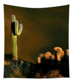 Desert Cactus - Tapestry by Joe Hoover