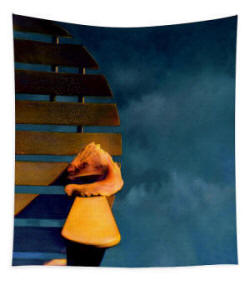 Tapestry The Shell and the Stom by Joe Hoover & Anni Adkins