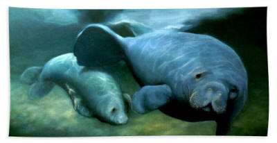 Beach Towel and Beach Sheet -Manatee Madonna
