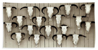 Beach Towel - Cattle Call Black and White Photo by Joe Hoover