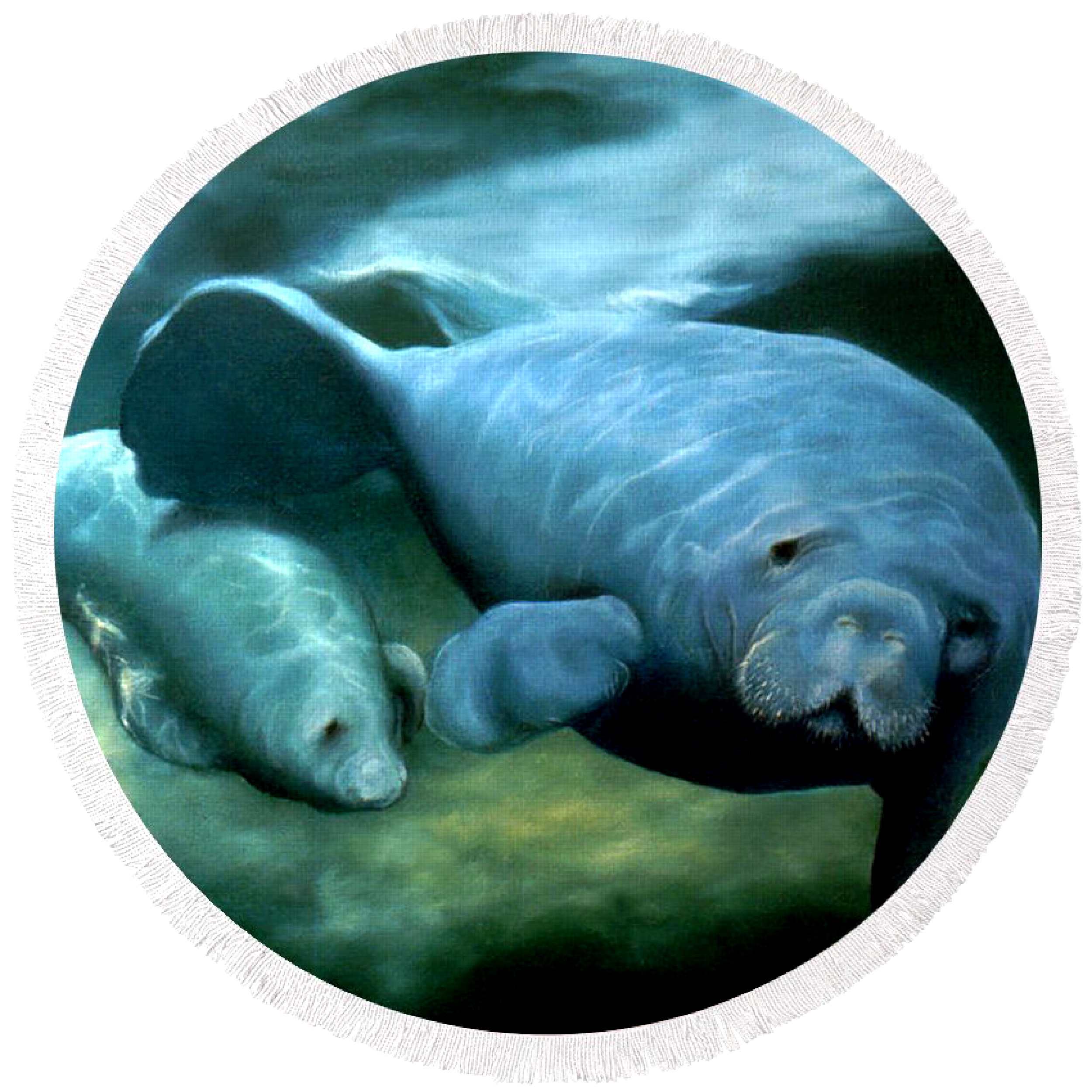 Manatee Madona Round Beach Towel