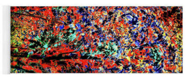 Oak Creek Fall Yoga Mat