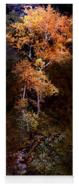 Yoga Matt - Oak Creek Canyon Color Photograph by Joe Hoover