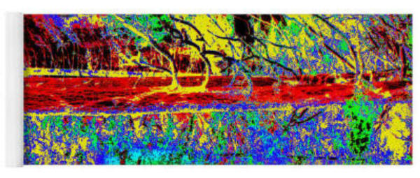 YOGA MAT - Three Trees of Oak Creek Canyon