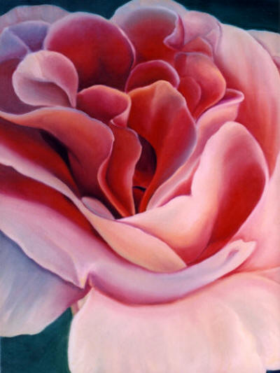 PEACH ROSE BY ANNI ADKINS