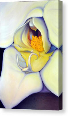 Art Prints