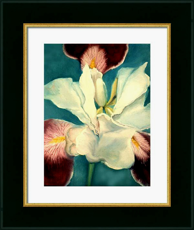 WHITE IRIS FRAMED RINT